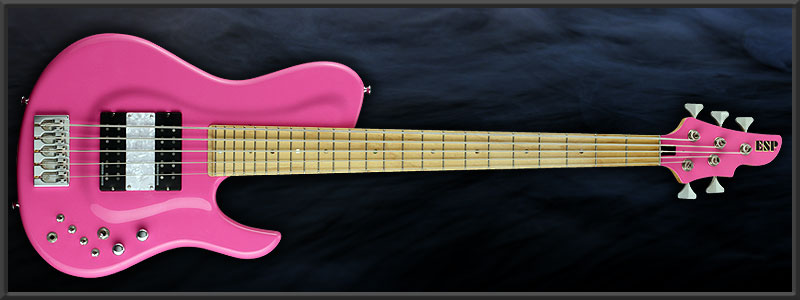 ESP HALIBUT 華凛 Custom