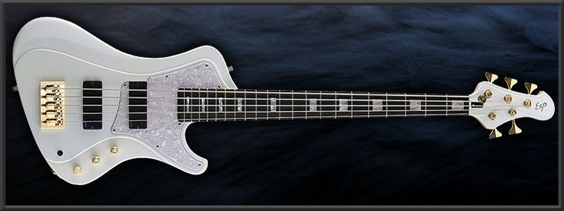 ESP STREAM-SL5 -encounter-