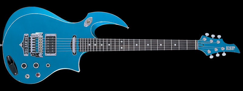 ESP INTERCEPTER