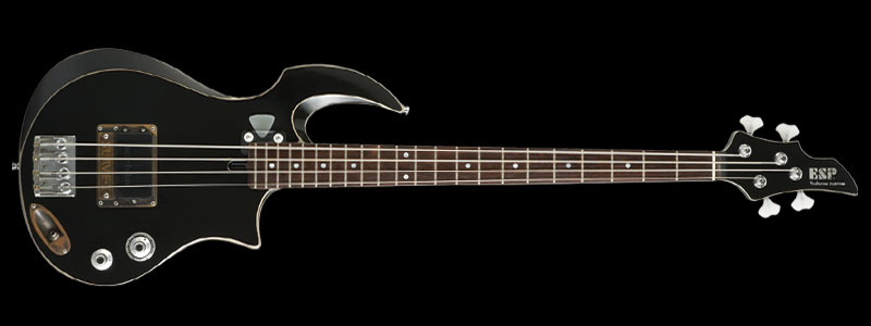ESP INTERCEPTER