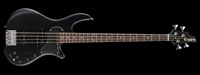 ESP SV-NT