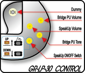 GR-LP-30 Control