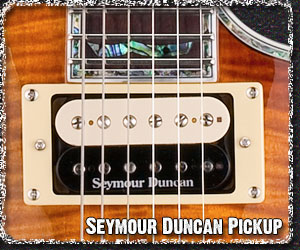 Seymour Duncan Pickup