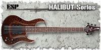 HALIBUT