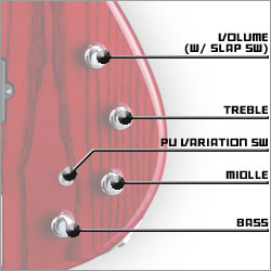 AP コントロール詳細