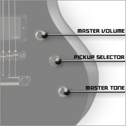 FOREST-G ����ȥ����ܺ�