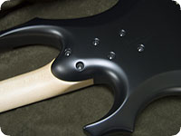 FOREST-STD �ͥå����å�