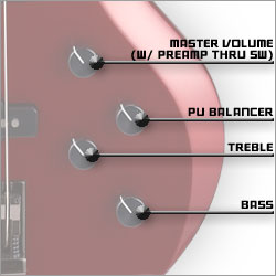 FOREST-STD コントロール詳細