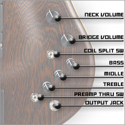 HALIBUT ����ȥ����ܺ�