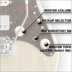 SNAPPER-AS コントロール詳細