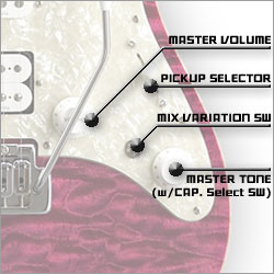 SNAPPER-CTM コントロール詳細