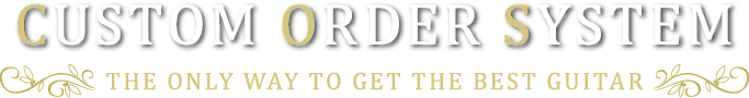 CUSTOM ORDER SYSTEM THE ONLY WAY TO GET THE BEST GUITAR